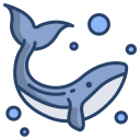 Nice Design by Splash